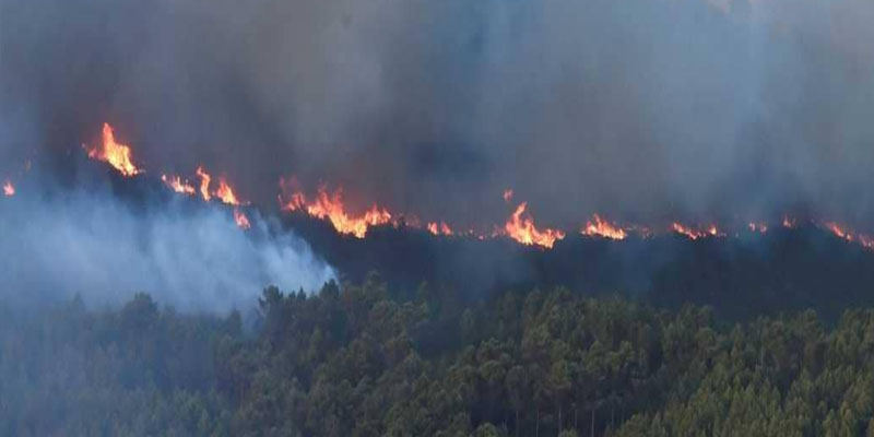 إيطاليا: إجلاء المئات وإغلاق مطار بسبب حريق غابات 